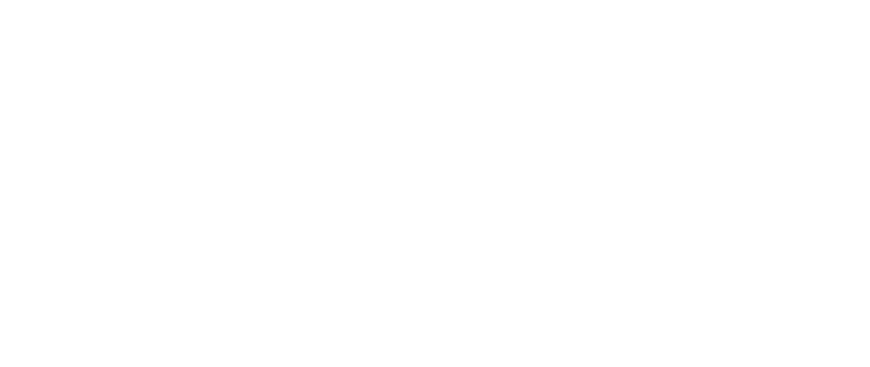 看国内网站 - 海龟伴侣